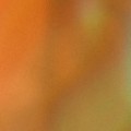 Bokeh-337